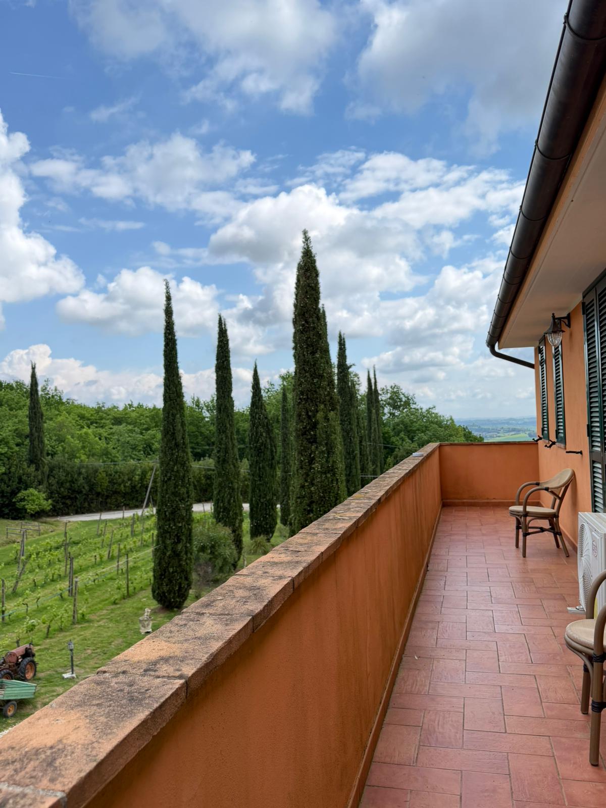 Terrazza con vista sul vigneto per le degustazioni
